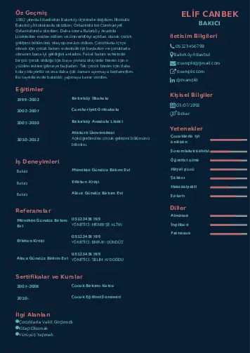 Bakıcı Cv Örnekleri cv indir